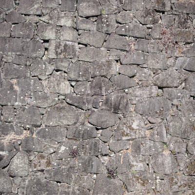 熊本城跡の石積みの写真