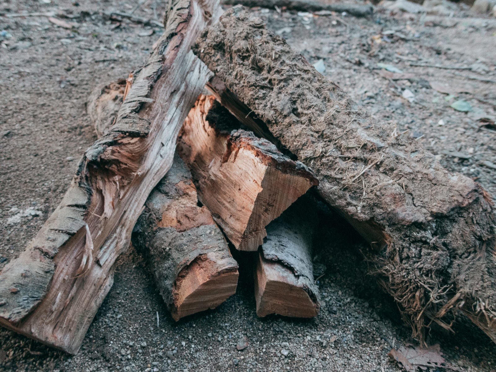 「焚火用の薪を準備」の写真