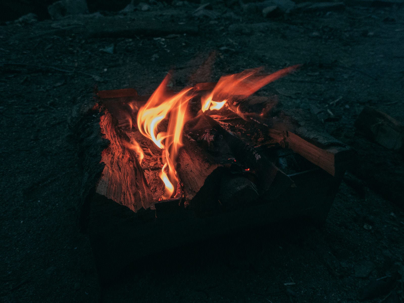 「暗がりに灯る焚き火の炎」の写真