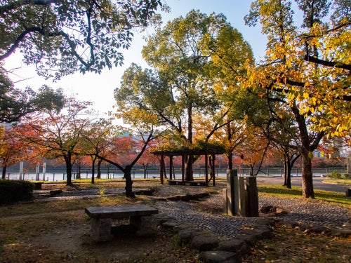 大阪桜ノ宮の休憩所の写真