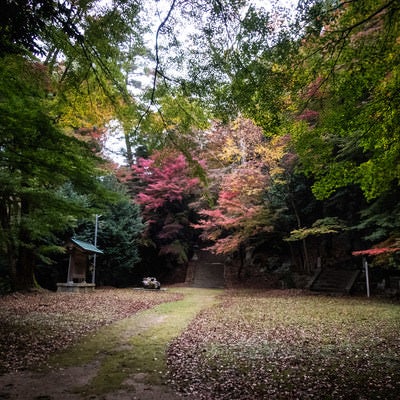 色付き始めた紅葉と智頭町の写真