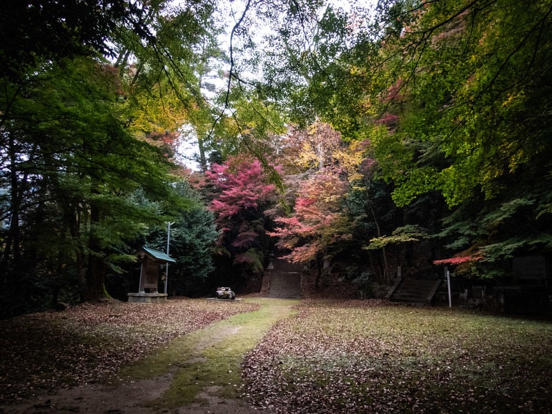 色付き始めた紅葉と智頭町の写真