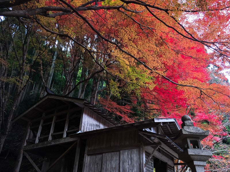 紅葉と智頭町の社の写真