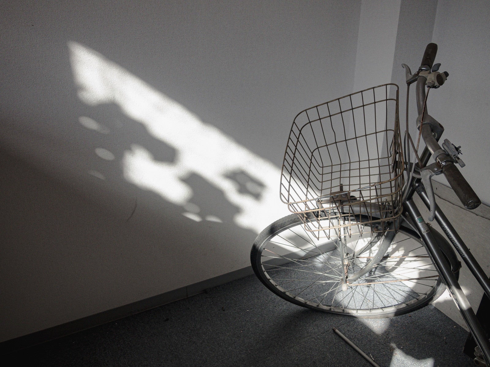 「室内に置かれた自転車と陽」の写真