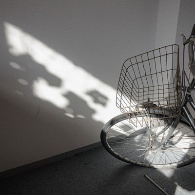 室内に置かれた自転車と陽の写真
