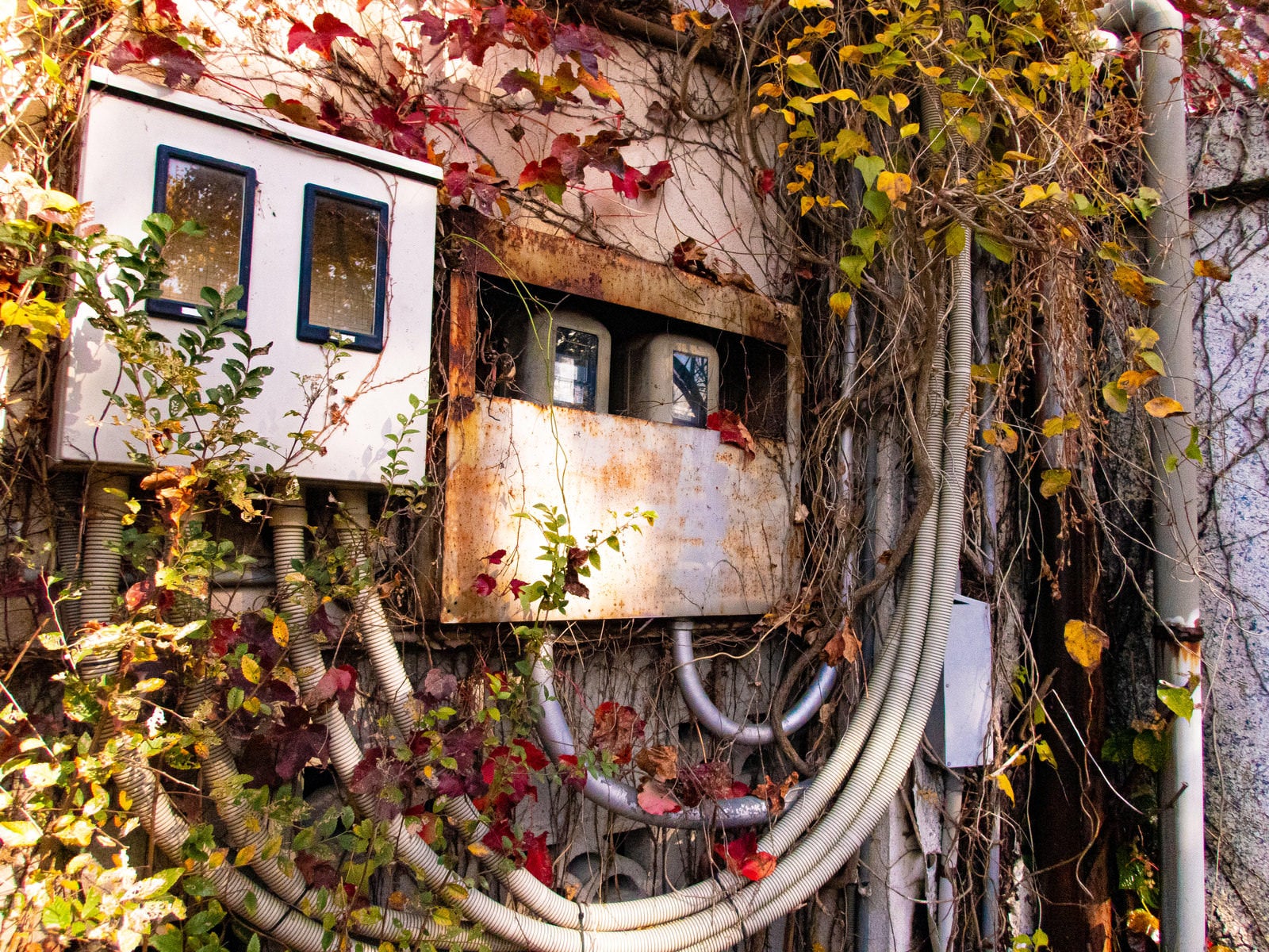 「止まったままの廃墟の電気メーター」の写真