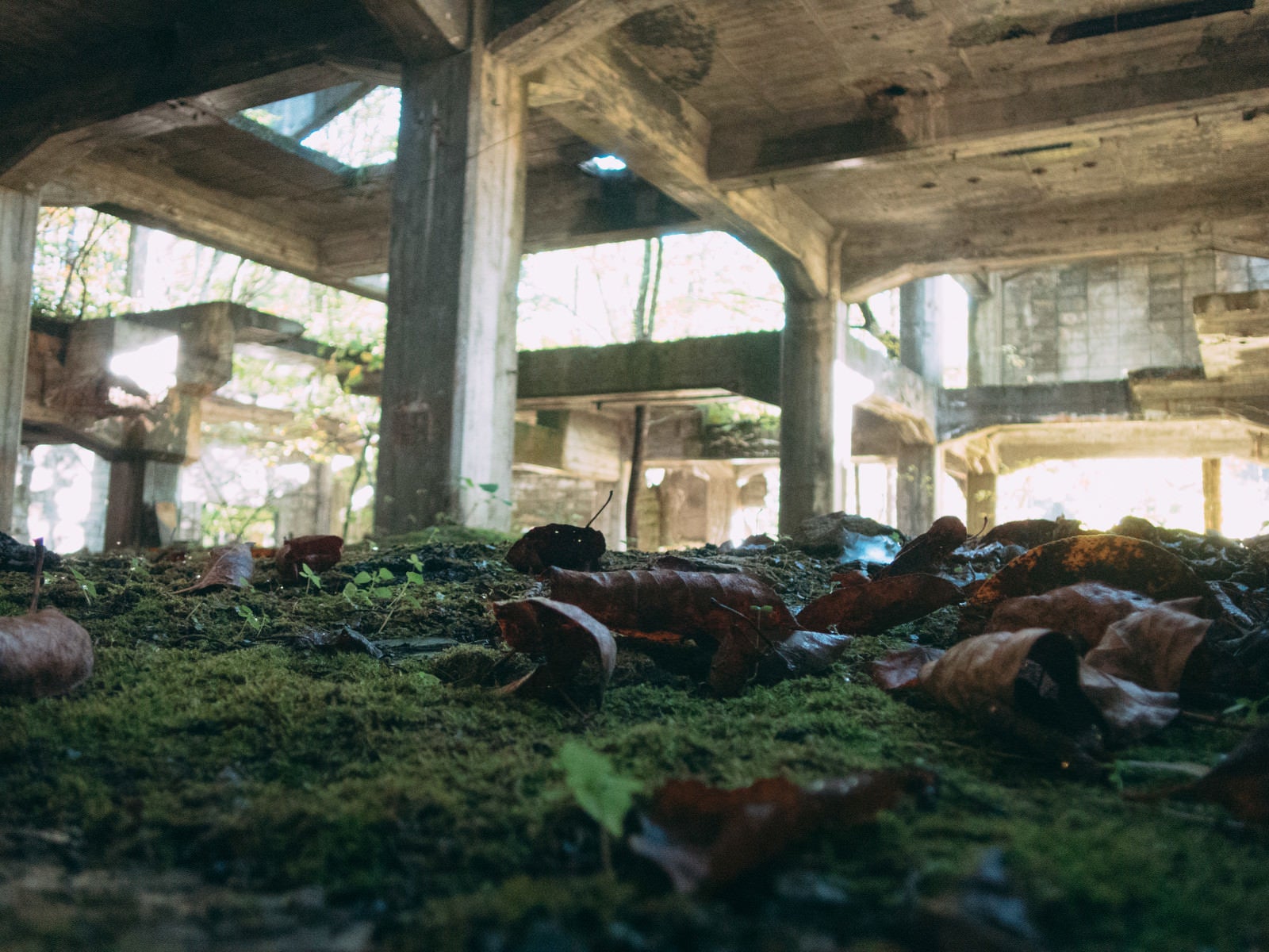 炭鉱跡の廃墟に落ちた落葉とコンクリートの柱