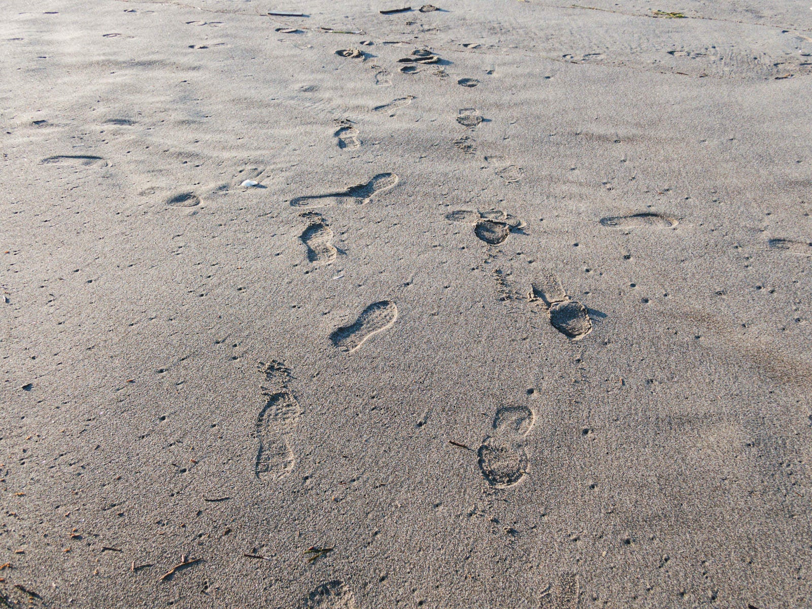 「濡れた砂浜に残る靴跡」の写真