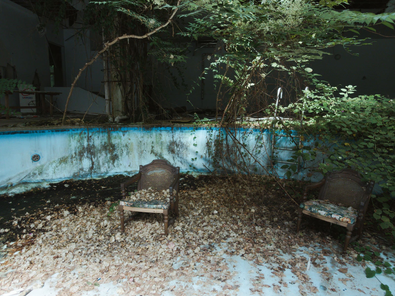 「落ち葉にまみれた椅子」の写真
