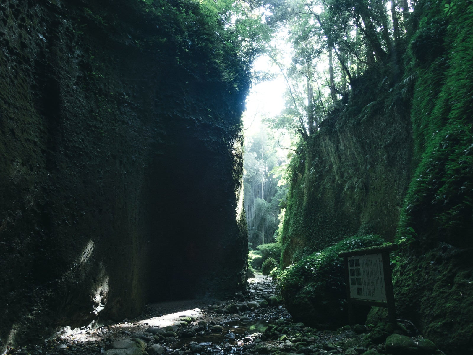 「伊尾木洞に差し込む光」の写真