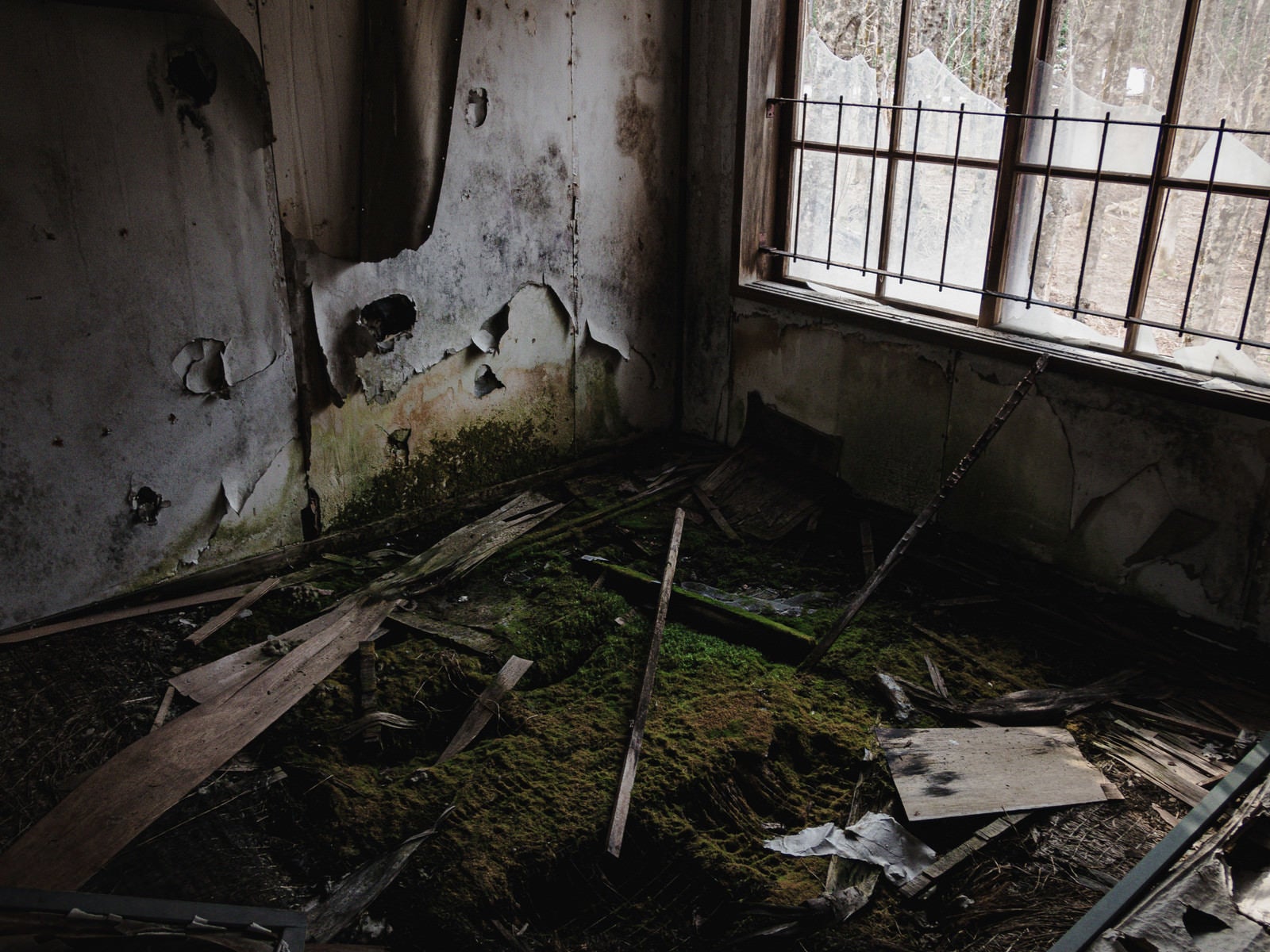 「苔生した荒廃した廃屋」の写真