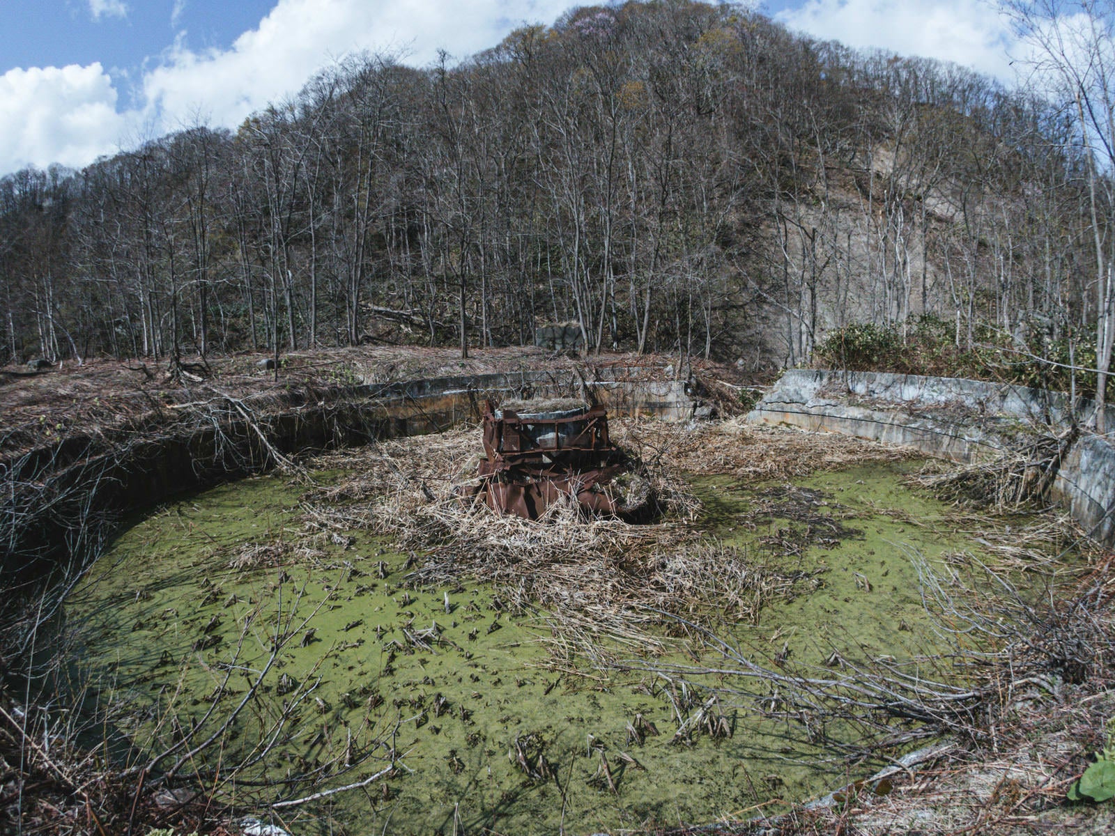 「立ち枯れの木々に囲まれた廃施設」の写真