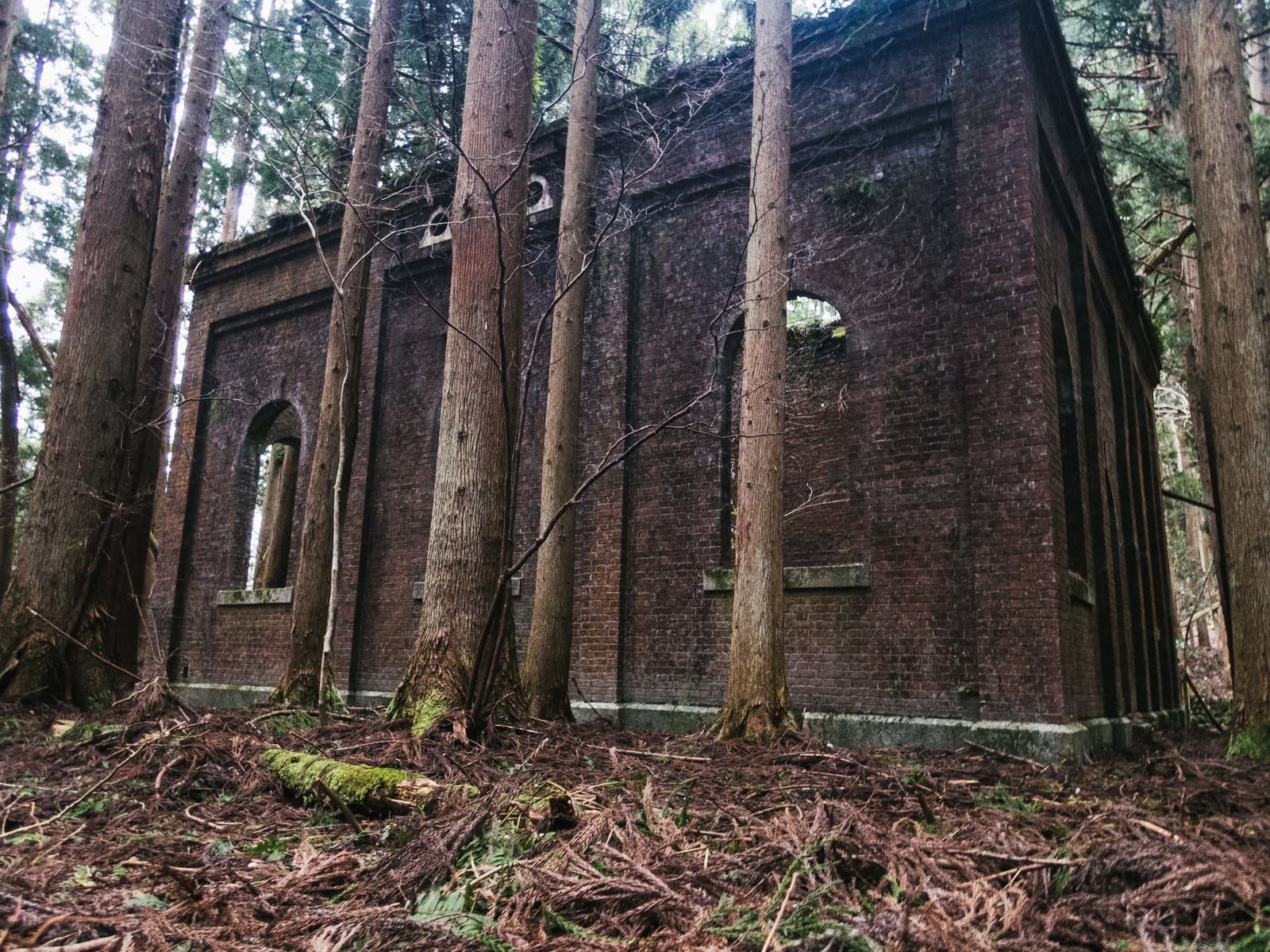 「森の中に佇むレンガの廃発電所」の写真