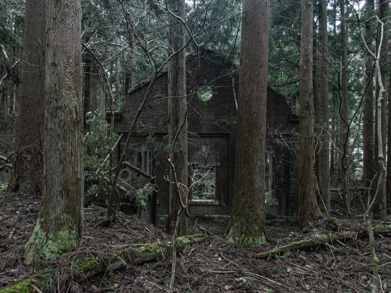 「森の中に現れたレンガ壁の小屋」の写真