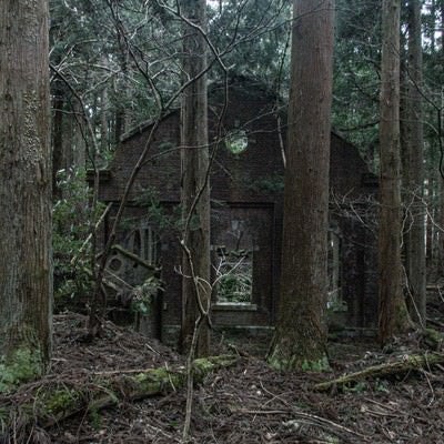 森の中に現れたレンガ壁の小屋の写真
