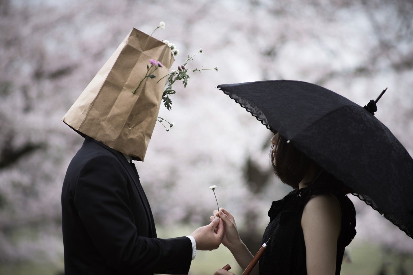 「摘んだお花を手渡す紙袋紳士」の写真