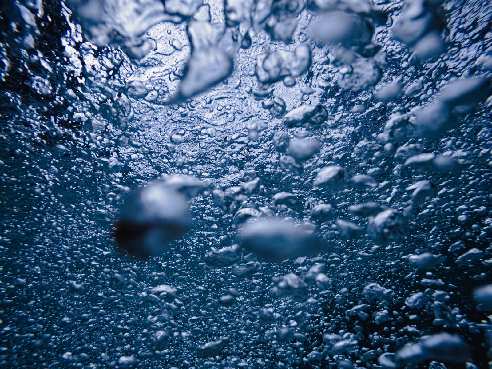 「気泡で溢れる水中のテクスチャー」の写真