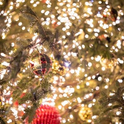 赤いオーナメントを飾ったクリスマスツリーの写真