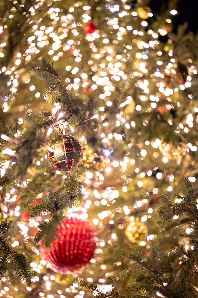「キラキラ光るクリスマスツリーの装飾」の写真