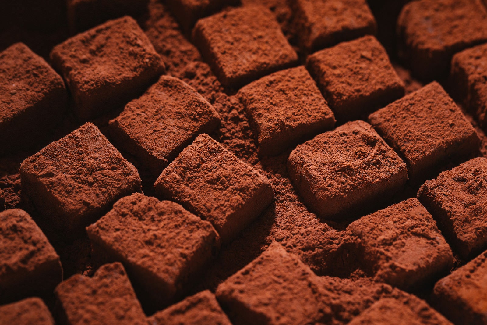「ココアパウダーに埋まる四角い生チョコ」の写真