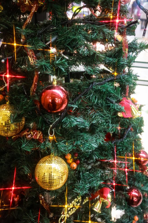 キラキラ光るクリスマスツリーの写真