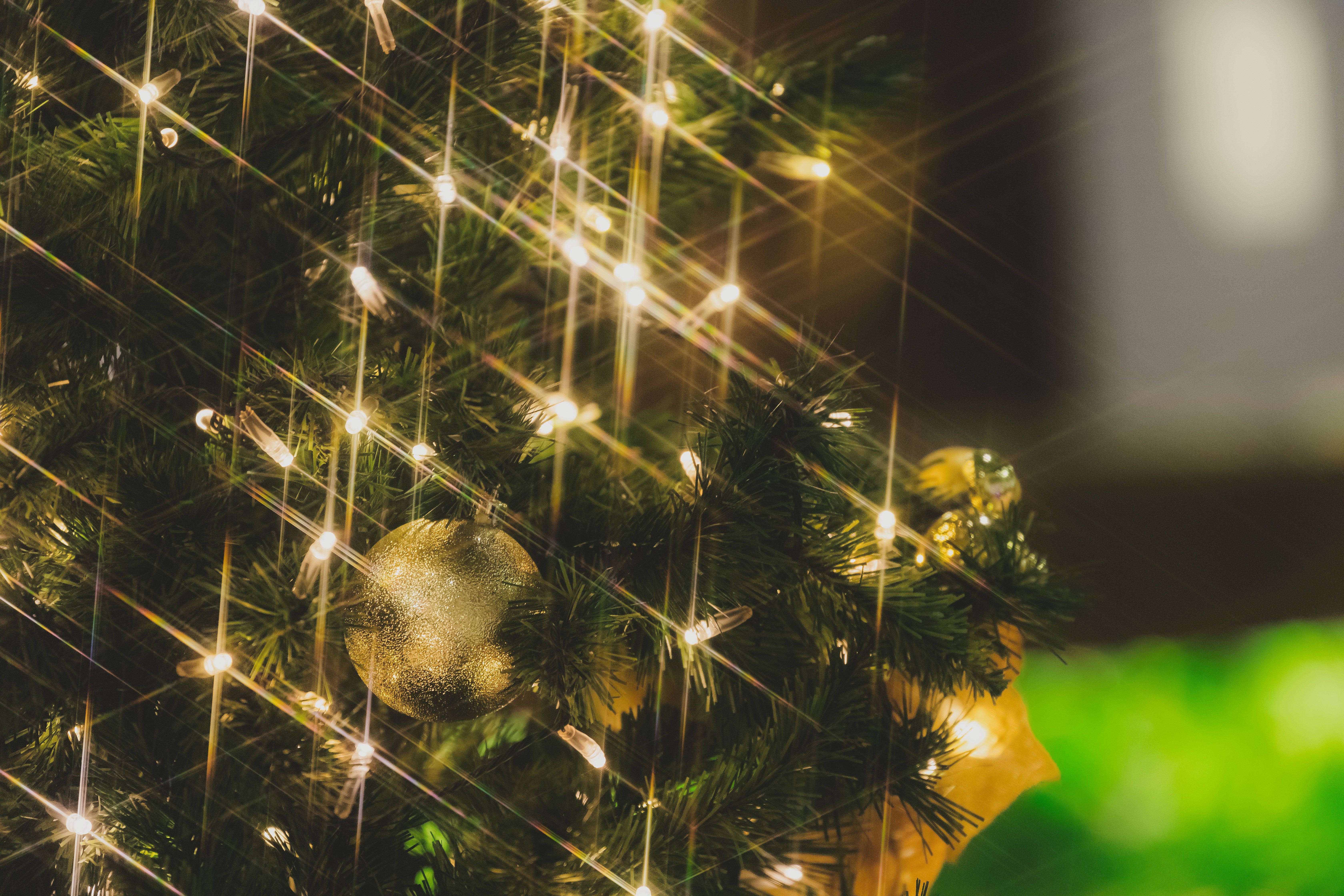 クリスマスツリーの電飾キラキラの無料写真素材 - ID.22304｜ぱくたそ