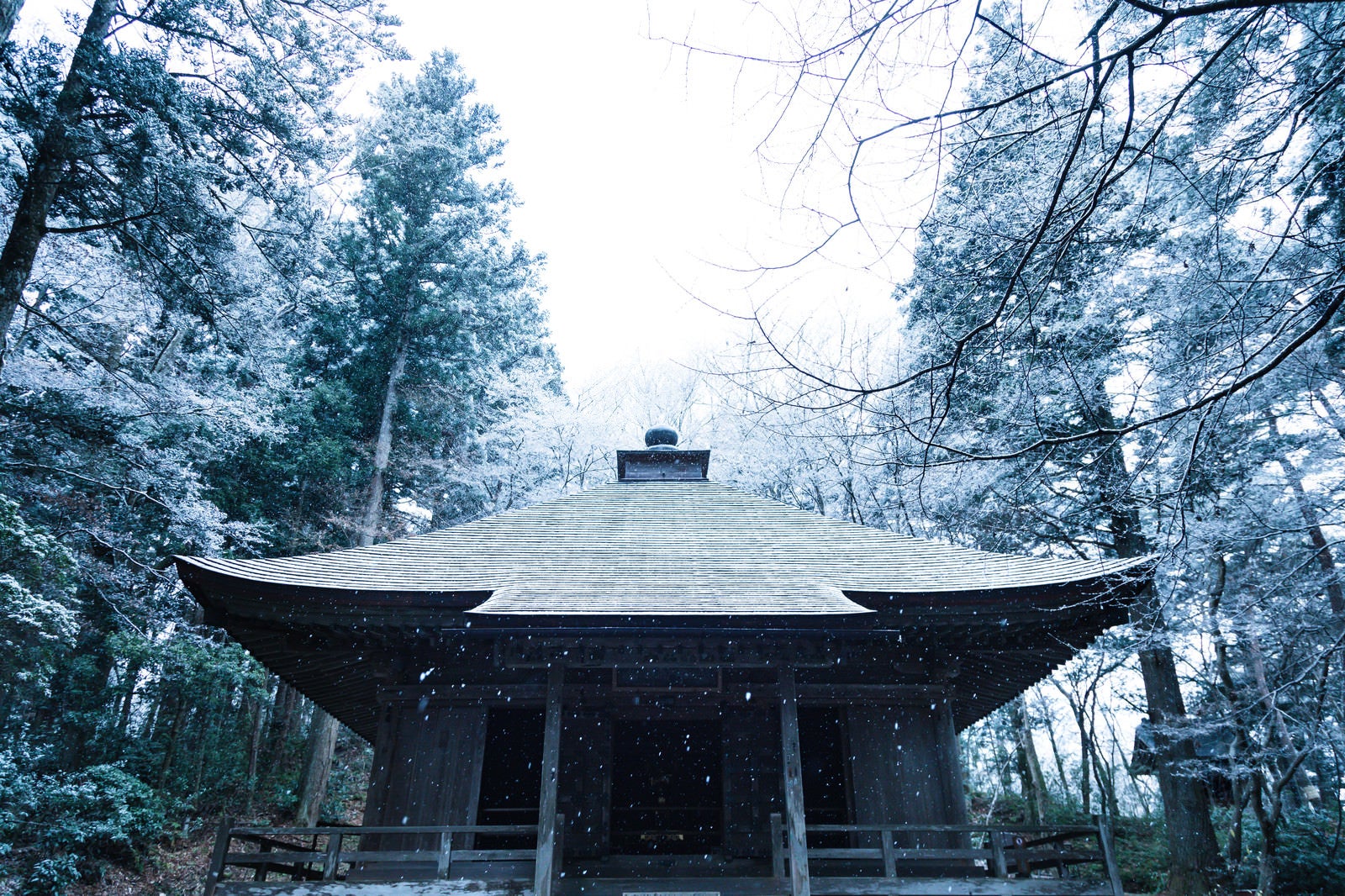 「静かに降り続ける雪と中尊寺経蔵」の写真