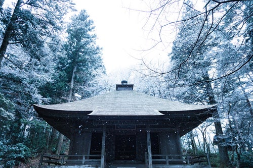 静かに降り続ける雪と中尊寺経蔵の写真