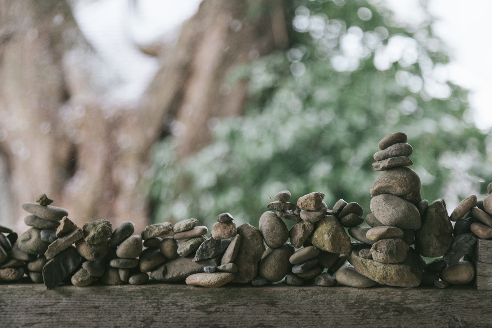 「中尊寺 白山神社能舞台の門にあった積石」の写真