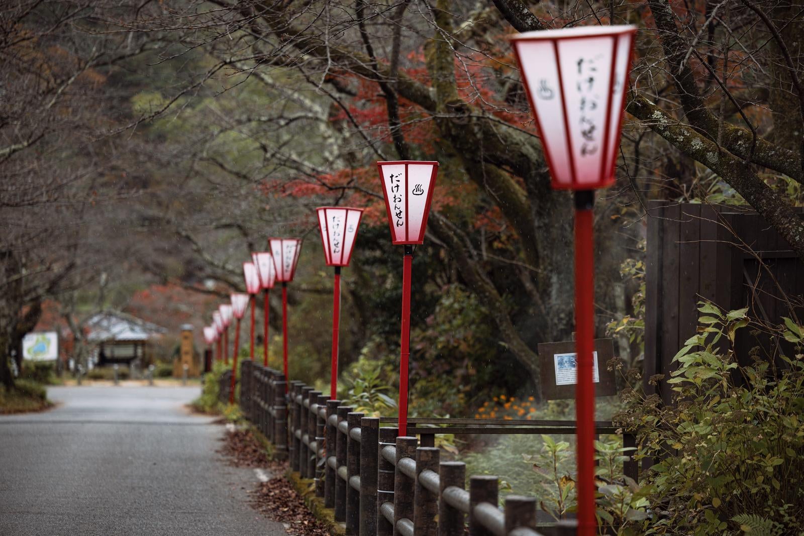 「岳温泉の冬の桜坂」の写真