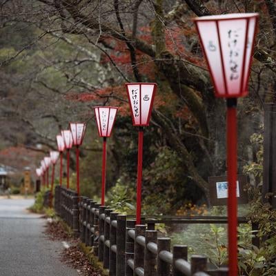 岳温泉の冬の桜坂の写真