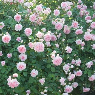 ビル群に挟まれて流れる川のフォトモンタージュの写真