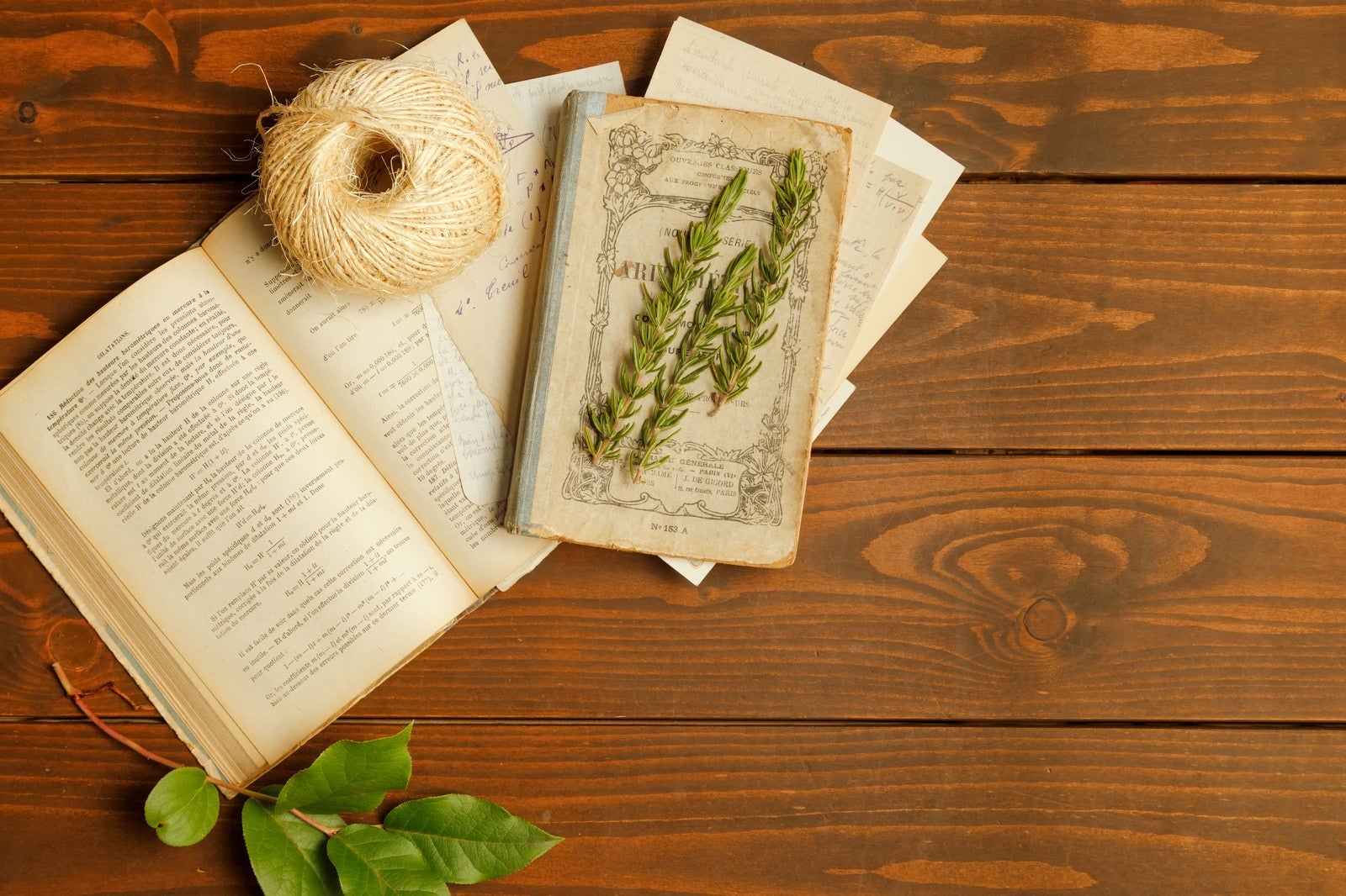 「開かれた古書の上に置かれた紐と薬草」の写真