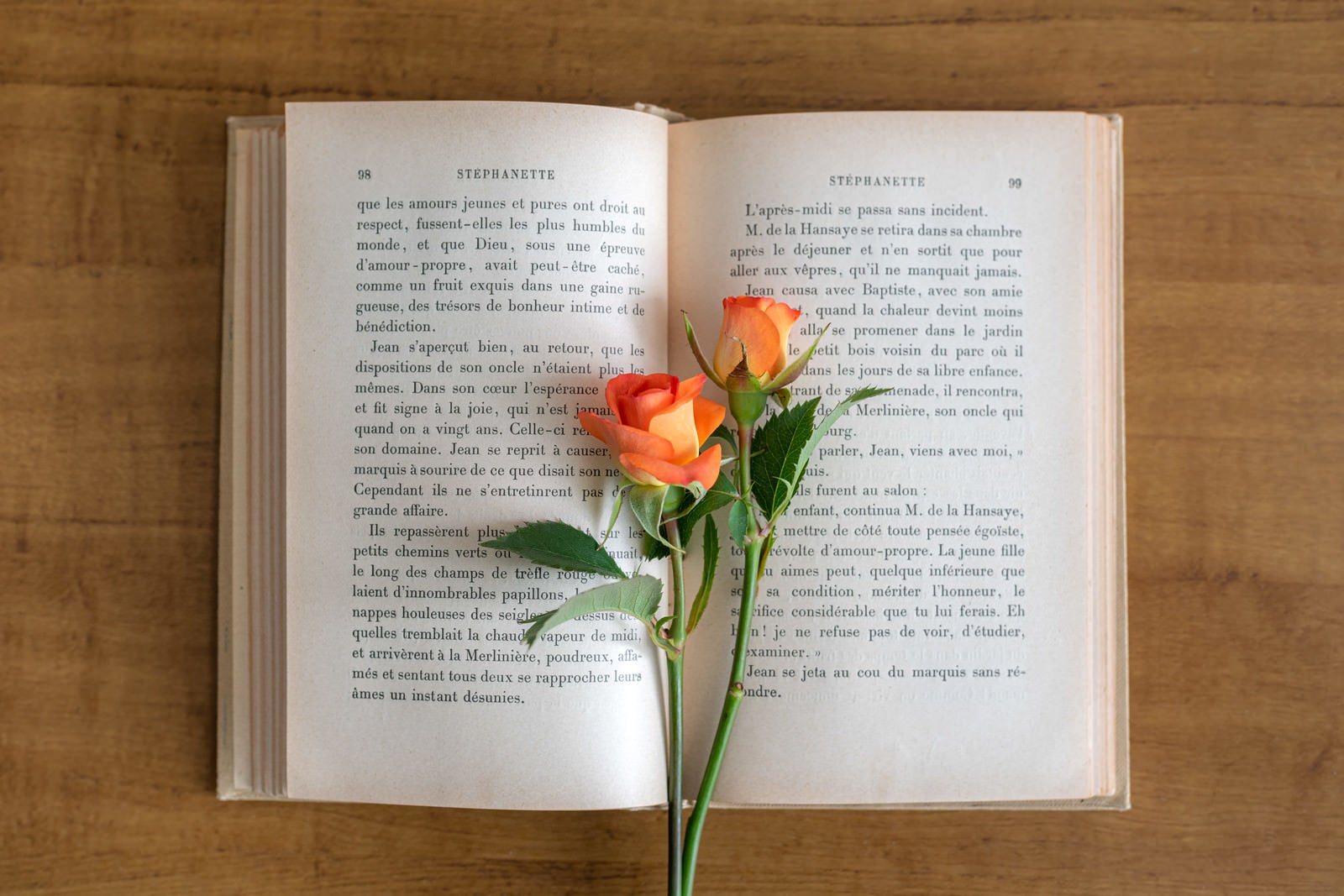 「古書に挟んだオレンジ色の薔薇」の写真