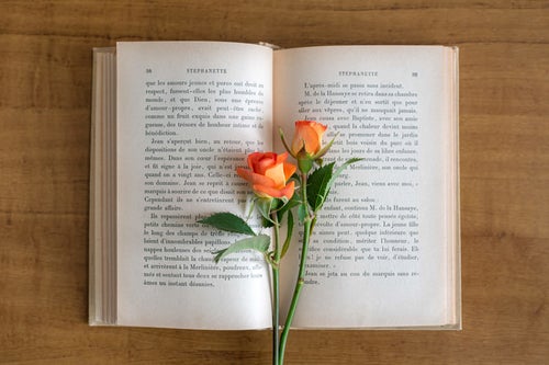 古書に挟んだオレンジ色の薔薇の写真