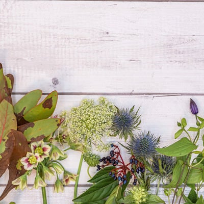 落ち着いた色合いの花々(左からプロテア、アリウム、レースフラワー、ビバーナム、エリンジューム、クレマチス、リキュウソウ、カラテア)の写真