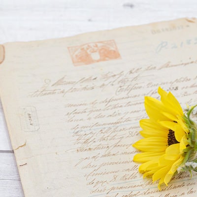 手紙に添えられた向日葵の花の写真