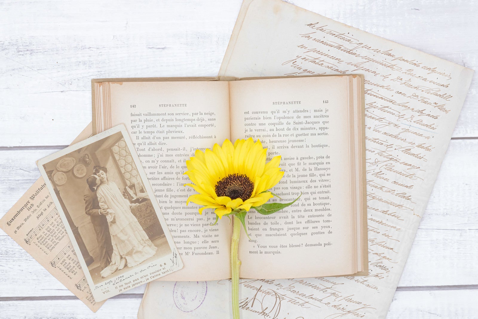 「開いた洋書に添えた向日葵」の写真