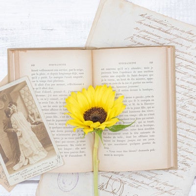 開いた洋書に添えた向日葵の写真