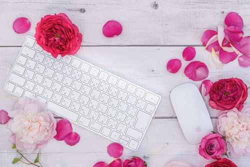 薔薇の花弁とキーボードの写真