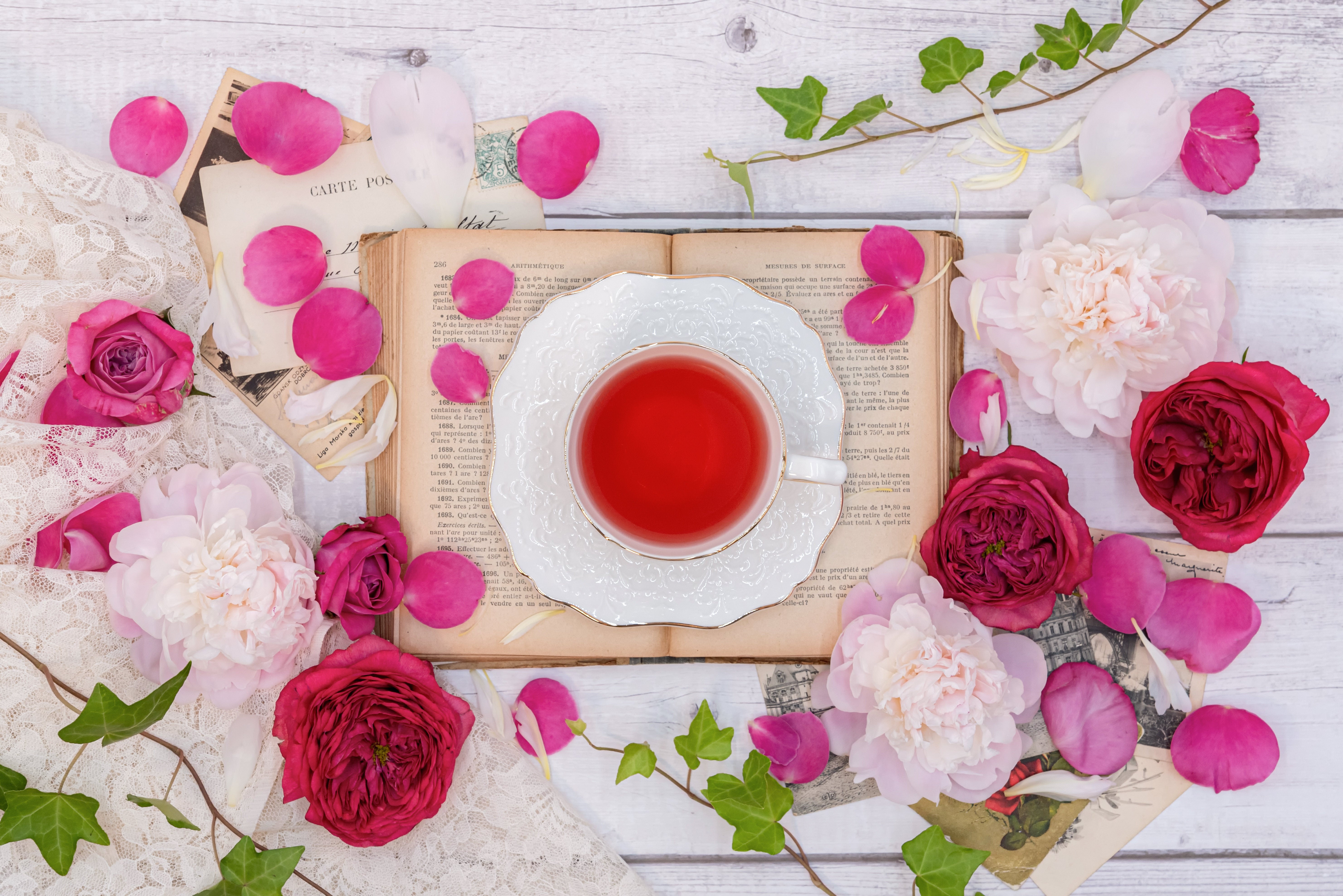 写真素材 naturalimages Vol.16 STATIONERY 写真素材 naturalimages Vol.16 STATIONERY 写真素材 naturalimages