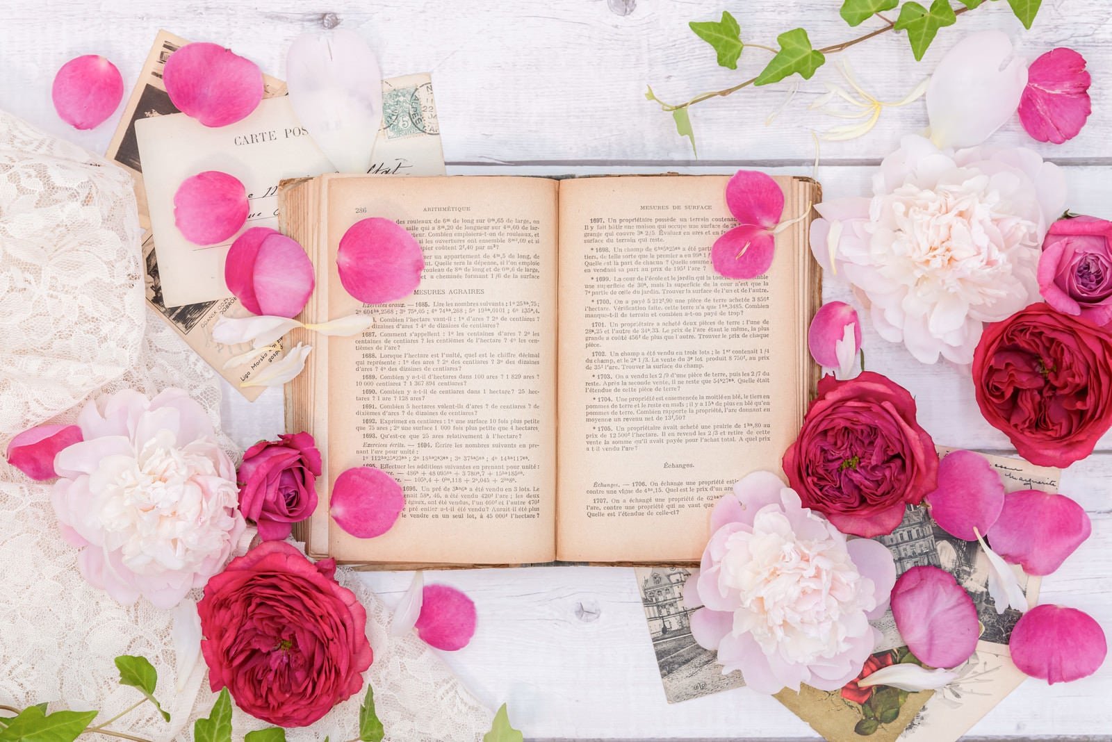 「古書を囲う薔薇の花と花びら」の写真