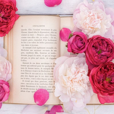 開かれた洋書に添えた薔薇の花の写真