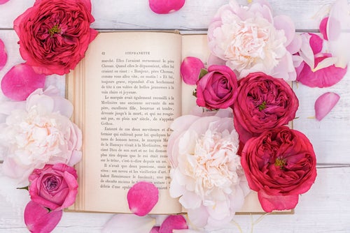 開かれた洋書に添えた薔薇の花の写真