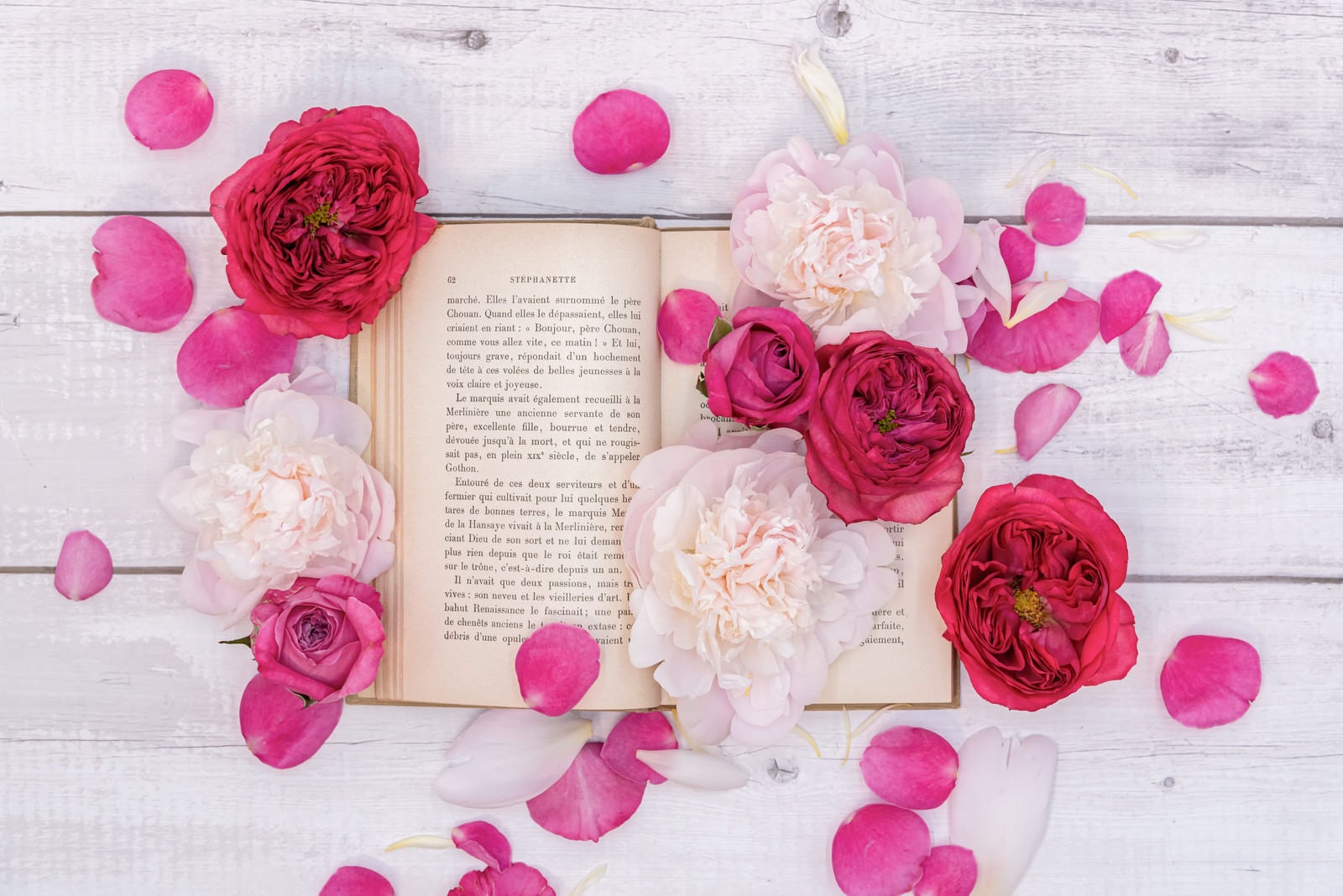 「散らばった薔薇の花びらと読みかけの古書」の写真