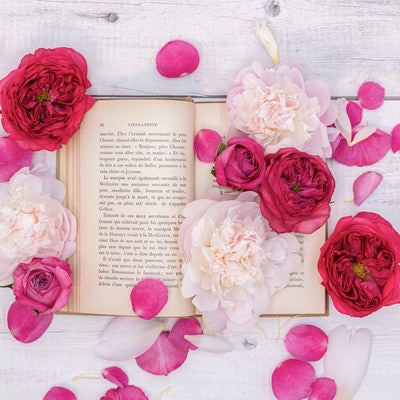 散らばった薔薇の花びらと読みかけの古書の写真