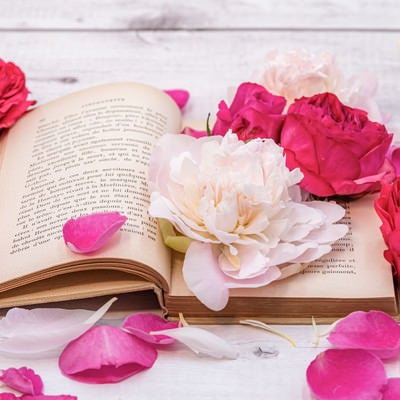薔薇の花で埋め尽くした読みかけの洋書の写真