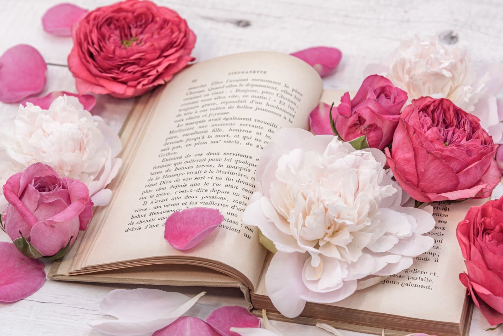 「バラの花で彩る読みかけの古書」の写真