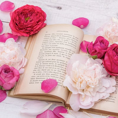 薔薇と花びら積もる読みかけの古書の写真