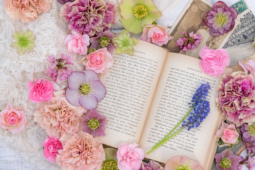 薔薇などカラフルな春の季節の花に囲まれる洋書の写真